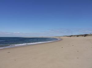 Cape Cod north shore
