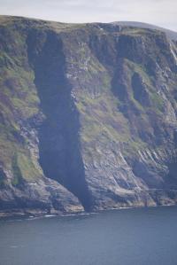 Cliff Face