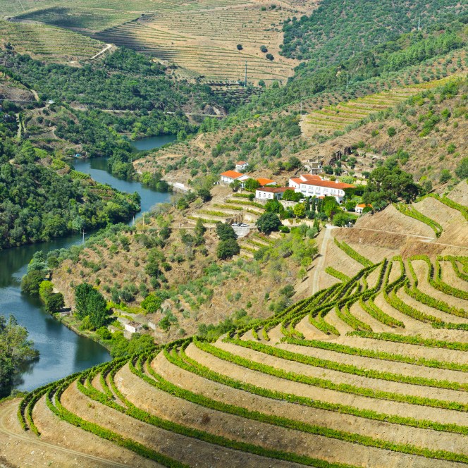 shutterstock_206063473