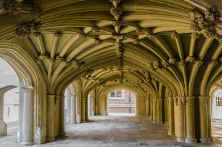 shutterstock_178477925